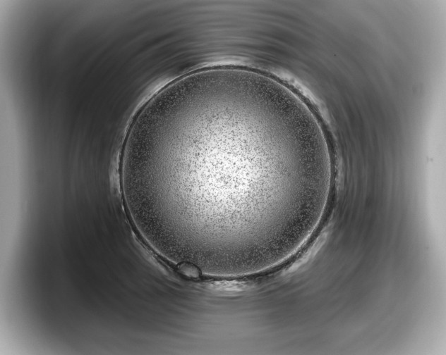 X0000098071137200804110917