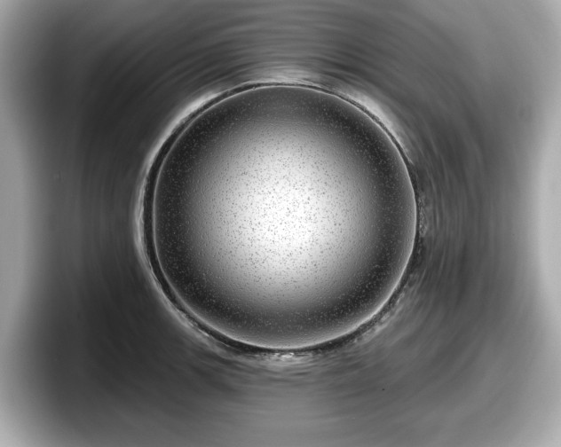 X0000098071139200804110917