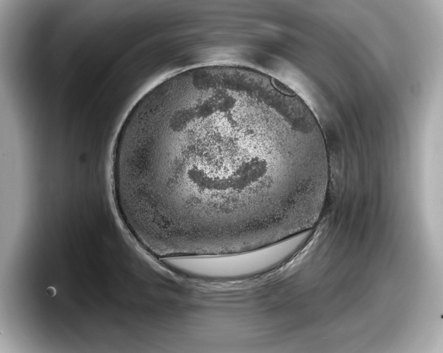 X0000098071142200804110917