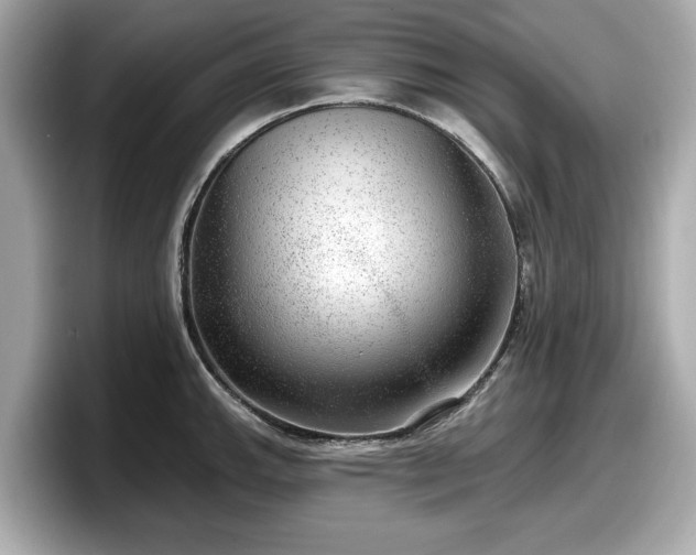 X0000098071143200804110917