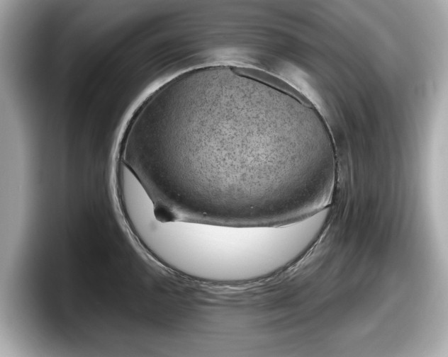 X0000098071144200804110917