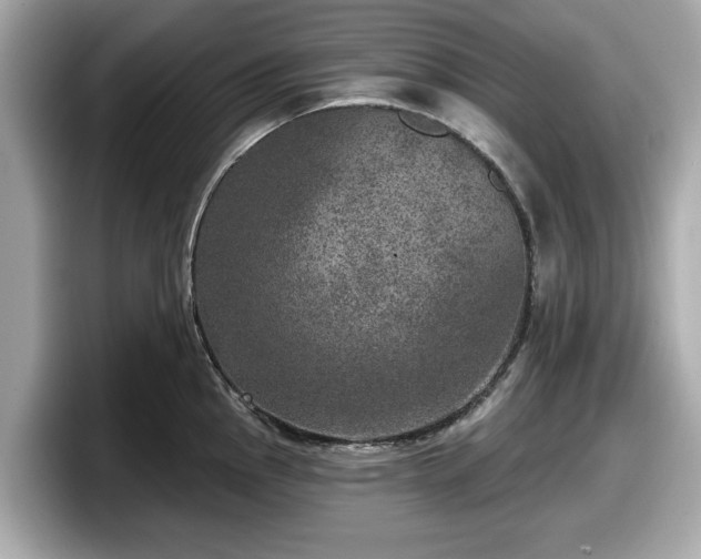 X0000098071145200804110917