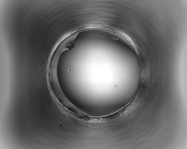 X0000098071146200804110917