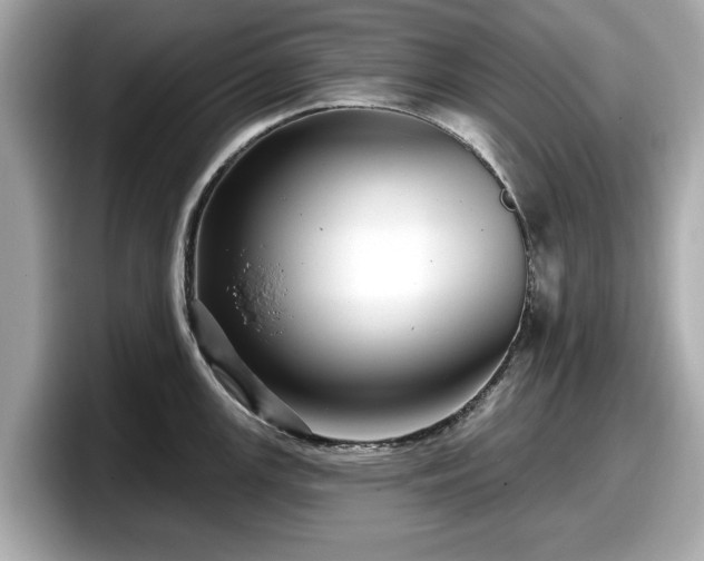 X0000098071147200804110917