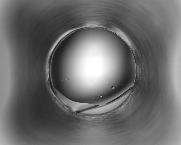 X0000098071148200804110917