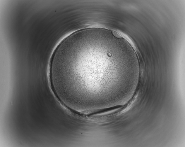 X0000098071149200804110917