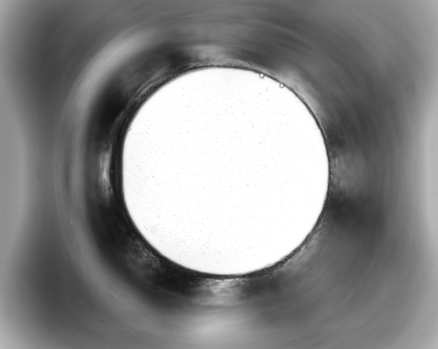 X0000098071150200804110917