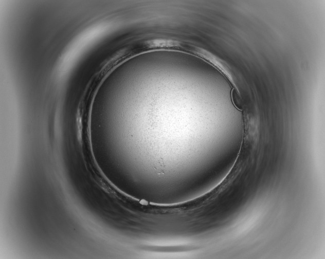 X0000098071151200804110917