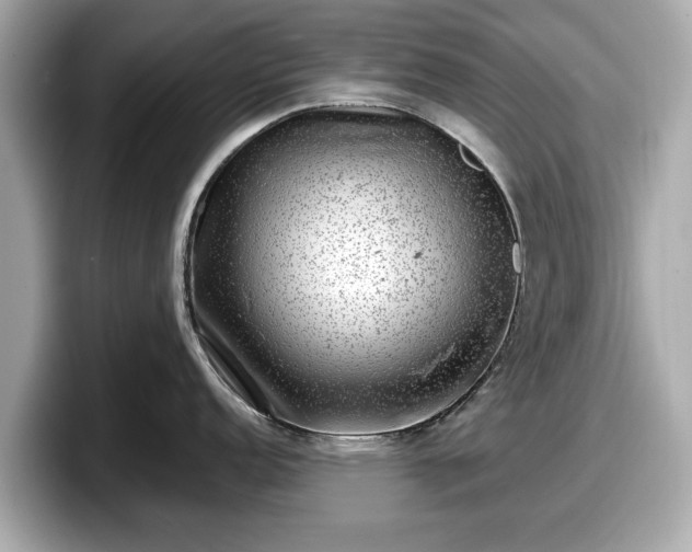 X0000098071152200804110917