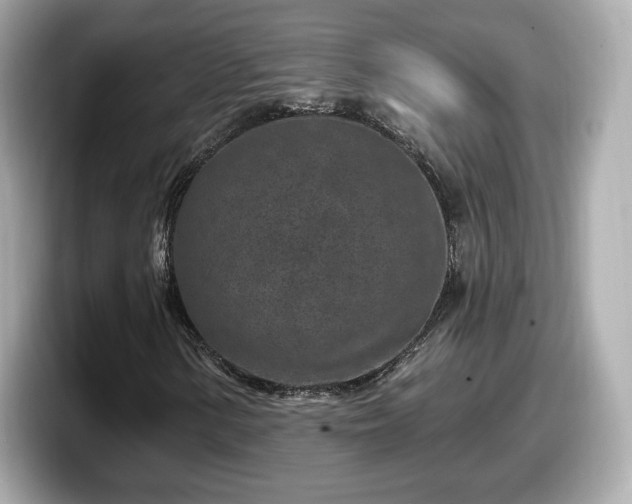 X0000098071154200804110917