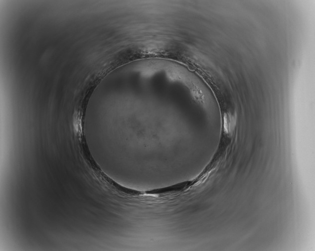 X0000098071155200804110917