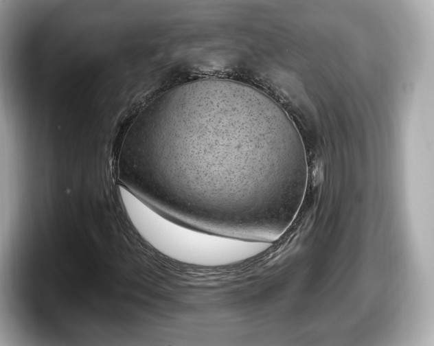 X0000098071156200804110917