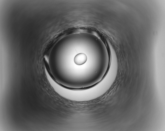 X0000098071157200804110917