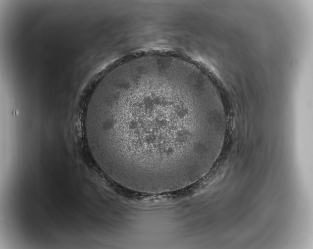 X0000098071159200804110917