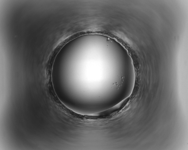 X0000098071160200804110917