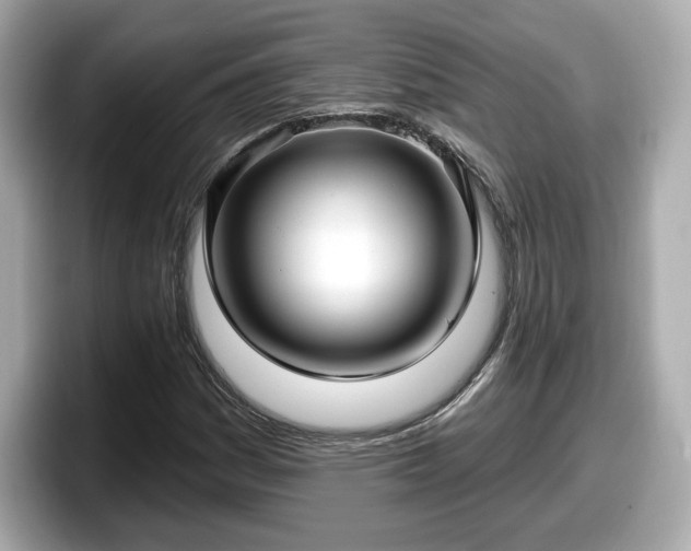 X0000098071161200804110917