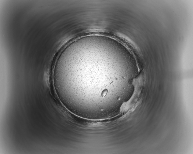 X0000098071162200804110917