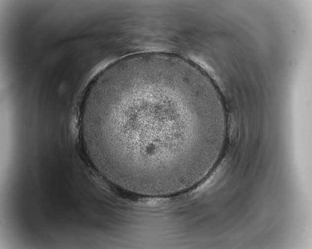 X0000098071163200804110917