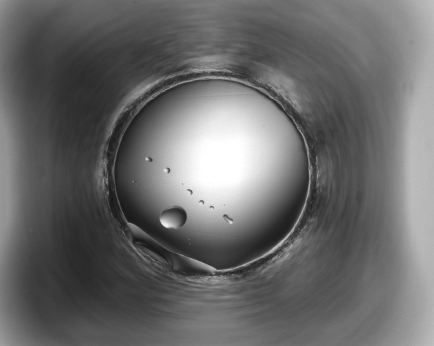 X0000098071164200804110916