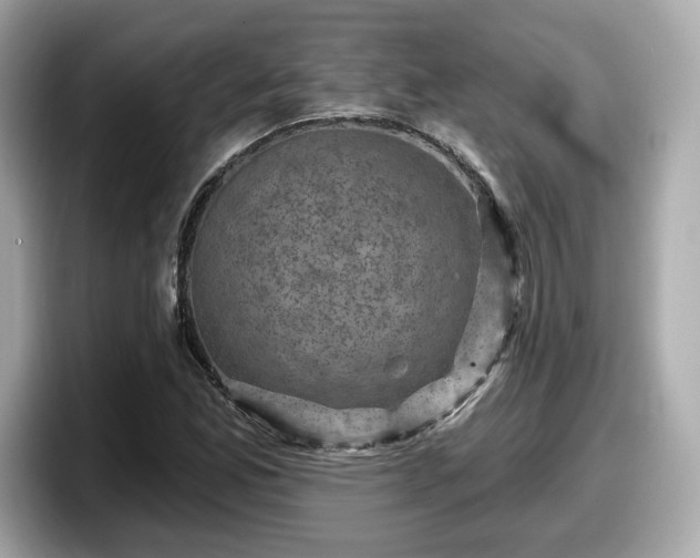 X0000098071165200804110916