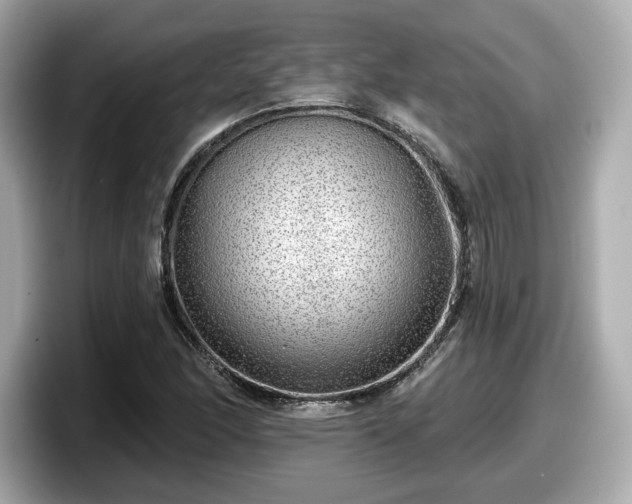 X0000098071166200804110916