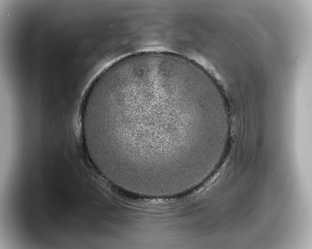 X0000098071167200804110916