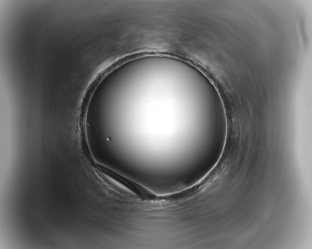 X0000098071168200804110916