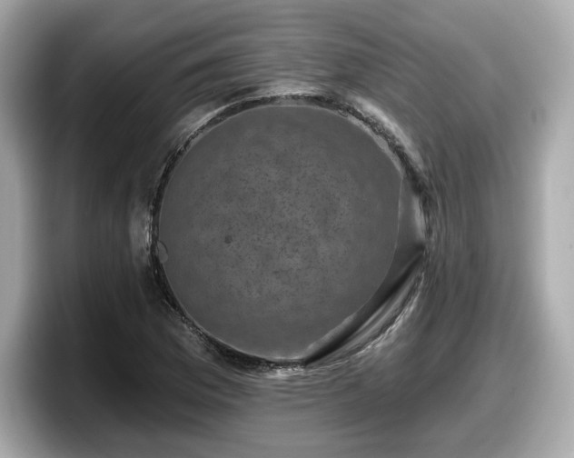 X0000098071169200804110916