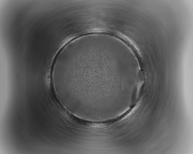 X0000098071170200804110916