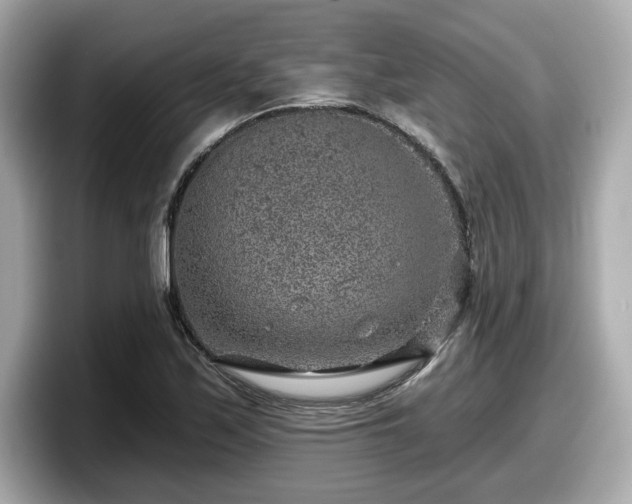 X0000098071171200804110916