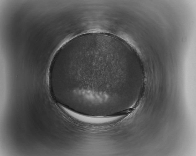 X0000098071173200804110916