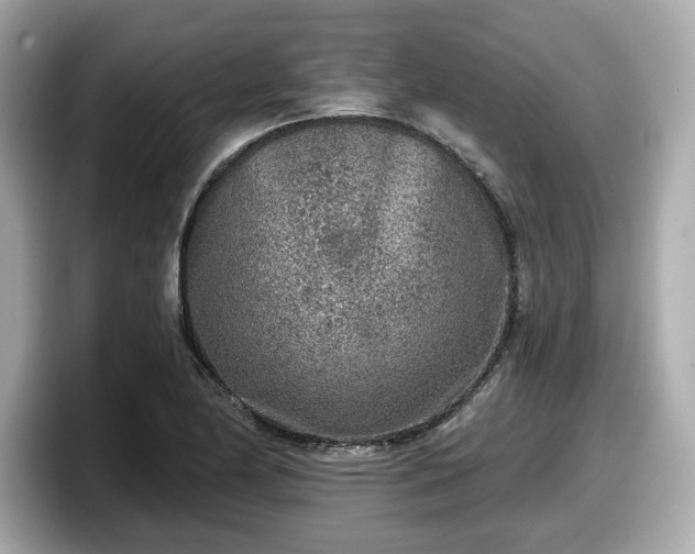 X0000098071174200804110916