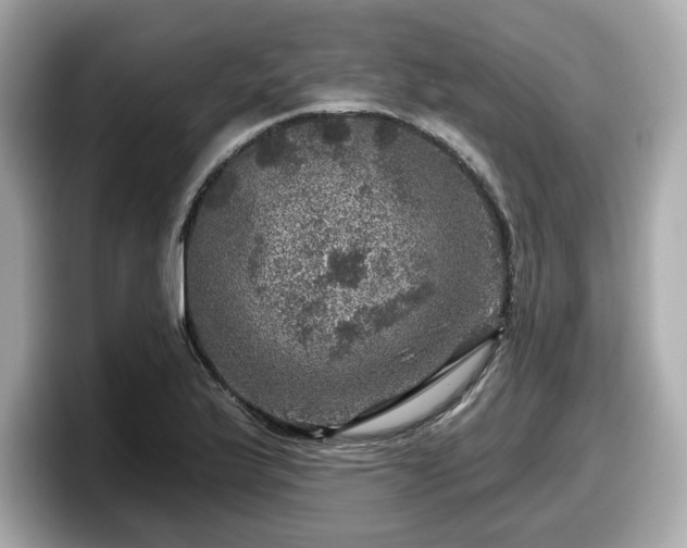 X0000098071175200804110916