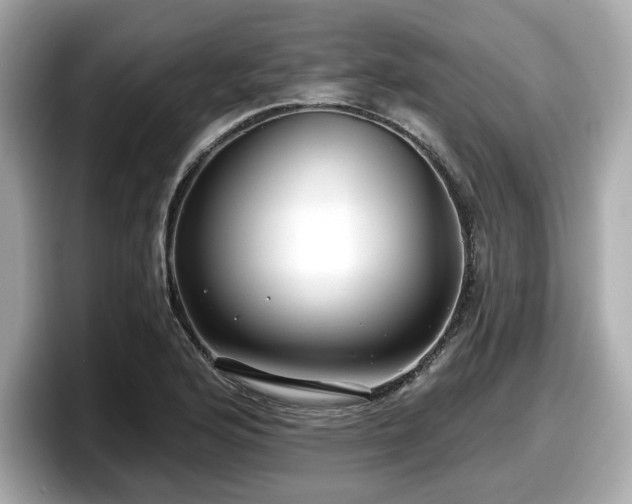 X0000098071176200804110916