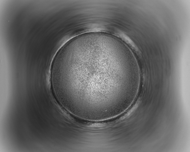 X0000098071178200804110916