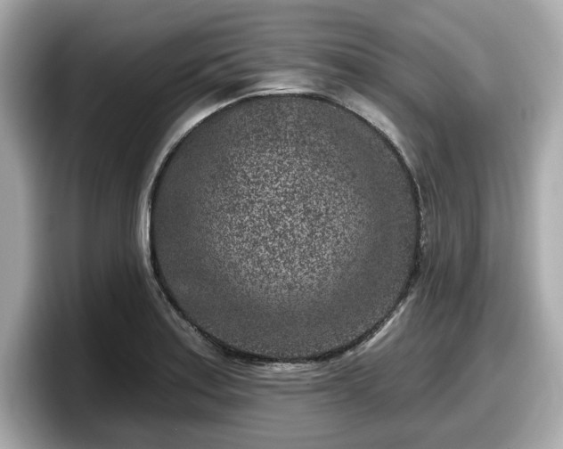 X0000098071179200804110916