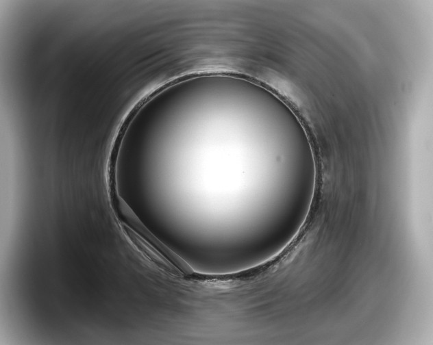 X0000098071181200804110916