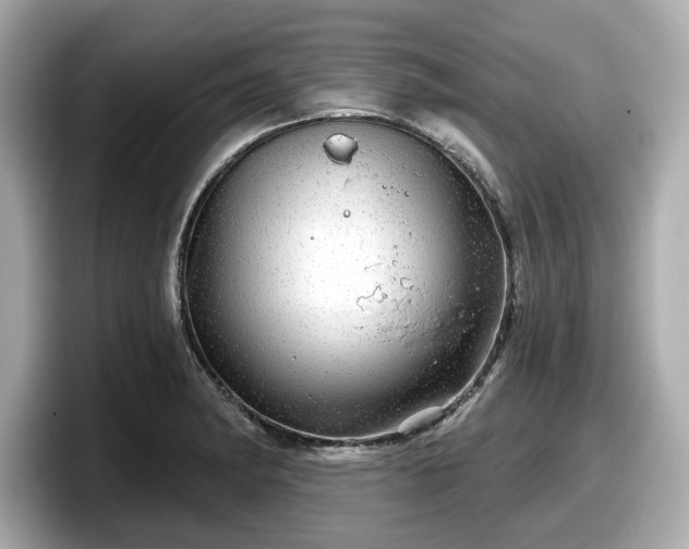 X0000098071182200804110916