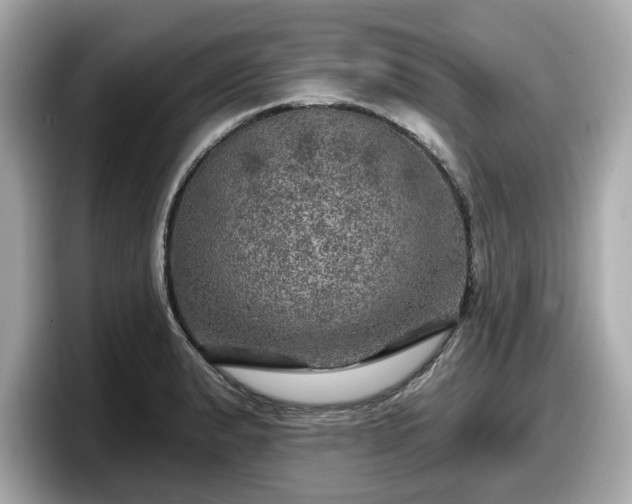 X0000098071183200804110916