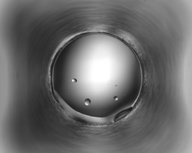 X0000098071184200804110916