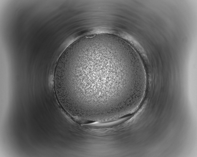 X0000098071185200804110916