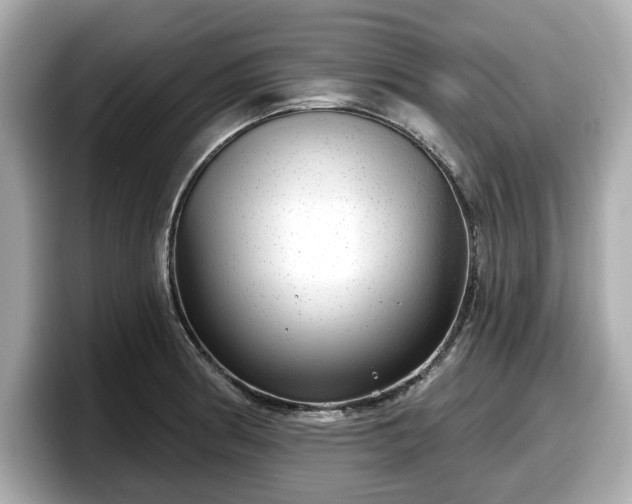 X0000098071186200804110916