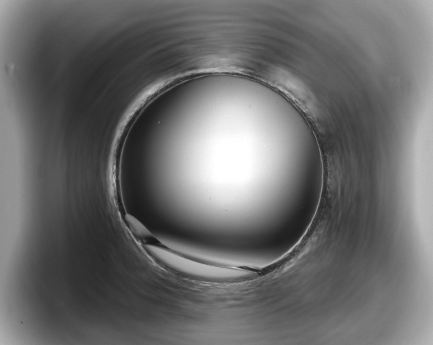 X0000098071188200804110916