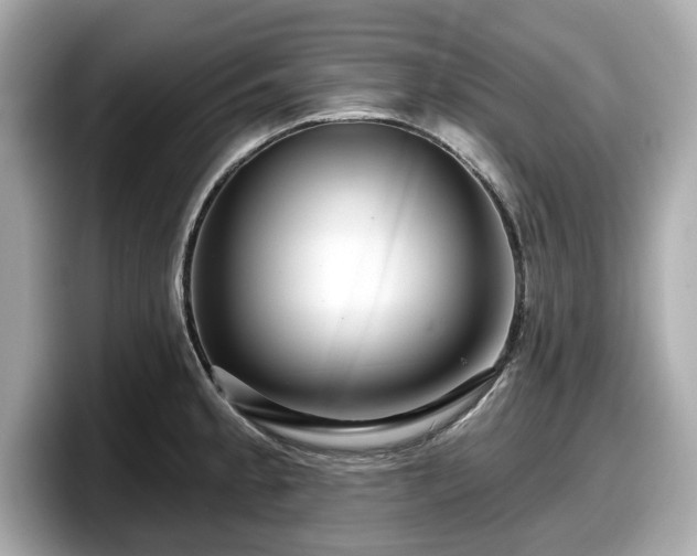 X0000098071189200804110916