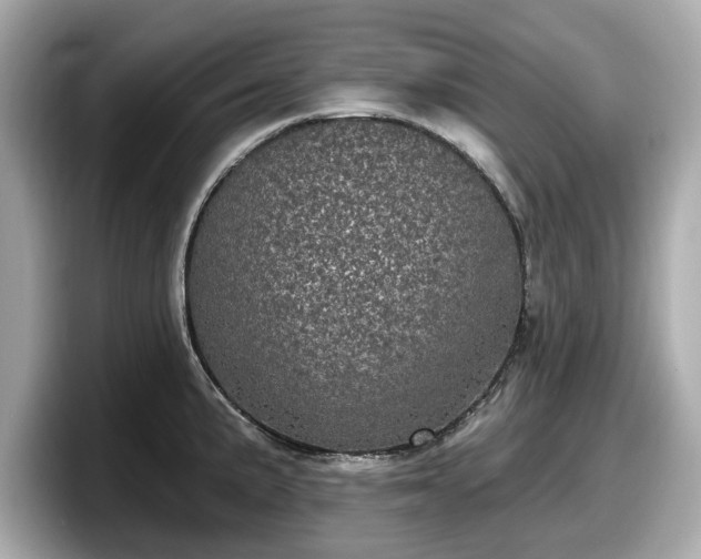 X0000098071191200804110916