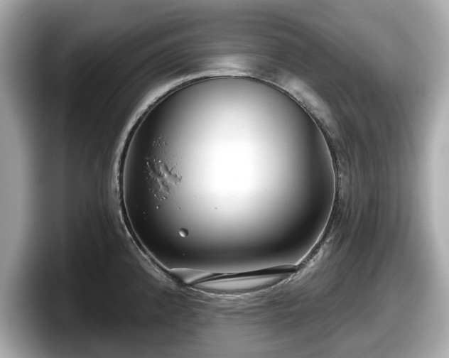 X0000098071192200804110916