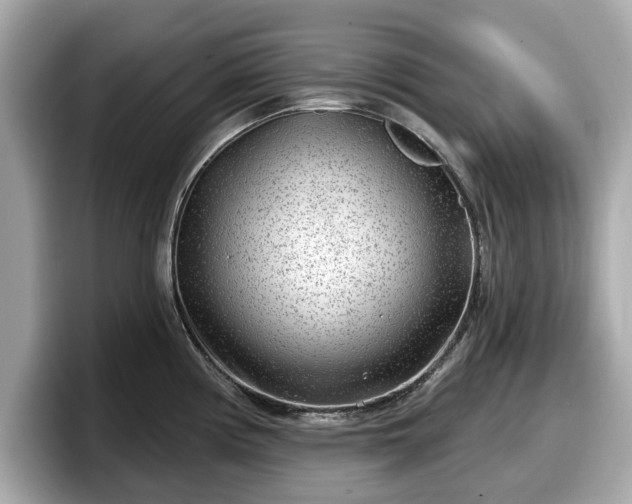 X0000098071194200804110916