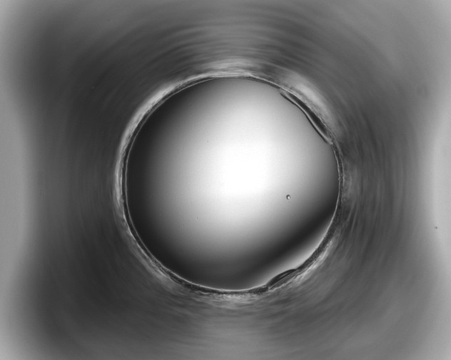 X0000098071196200804110916