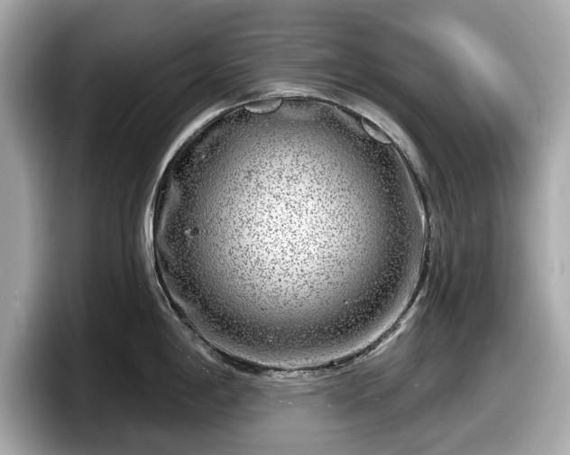 X0000098071198200804110916