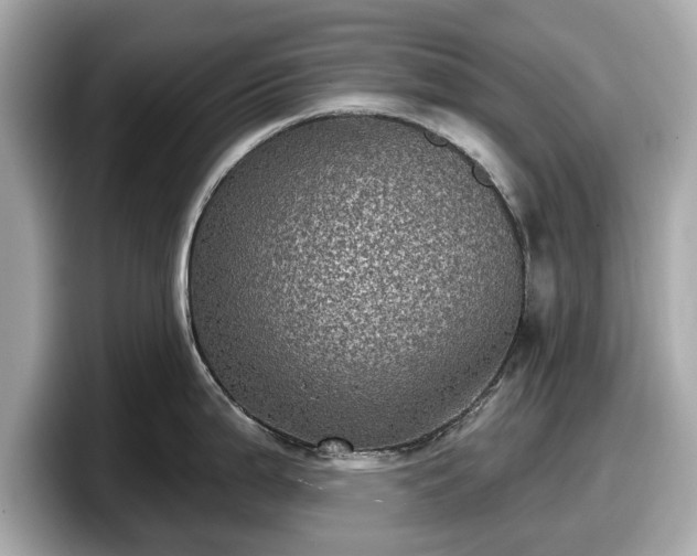 X0000098071199200804110916